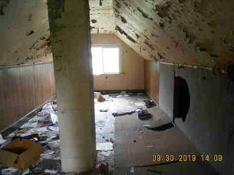 6637 Majestic (11)_m.jpg